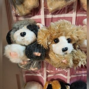 Puppy Puppy Puppies - NFS - Buyer Is Looking For A Specific One